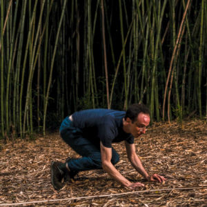 rabbit - daoyin animals