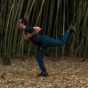 seahorse - daoyin animals